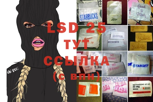 PSILOCYBIN Нефтегорск