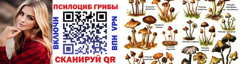 мега маркетплейс Хотьково Галлюциногенные грибы ЛСД наркотики